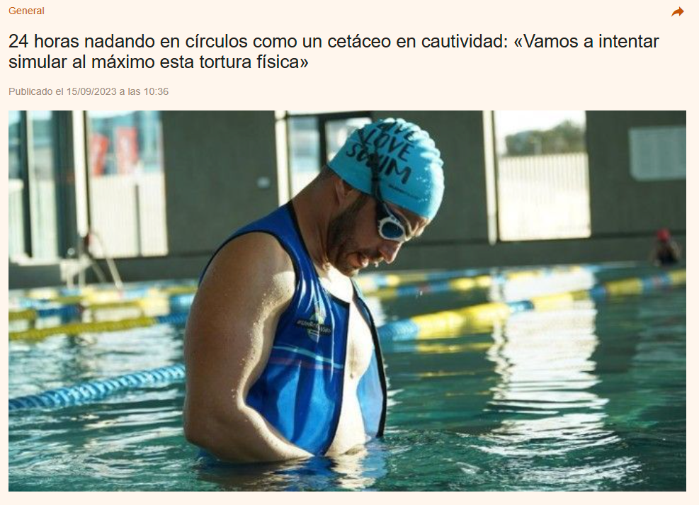 Imagen 8